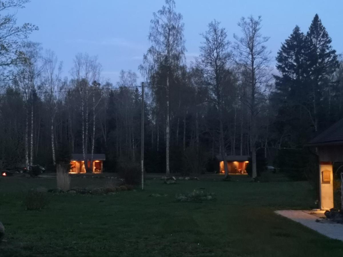 Brivdienu Maja "Raudini" Kaltene Exterior foto