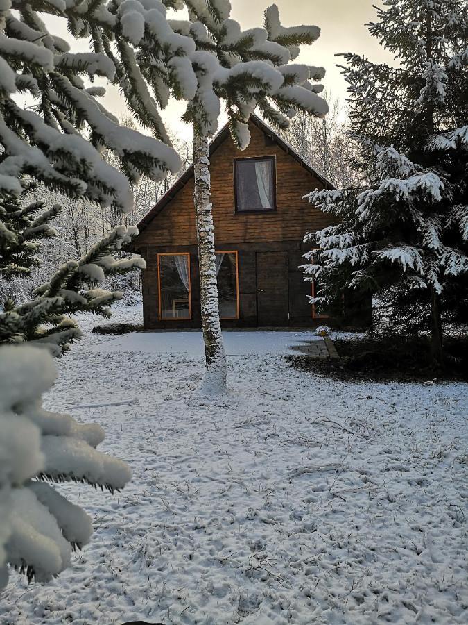 Brivdienu Maja "Raudini" Kaltene Exterior foto